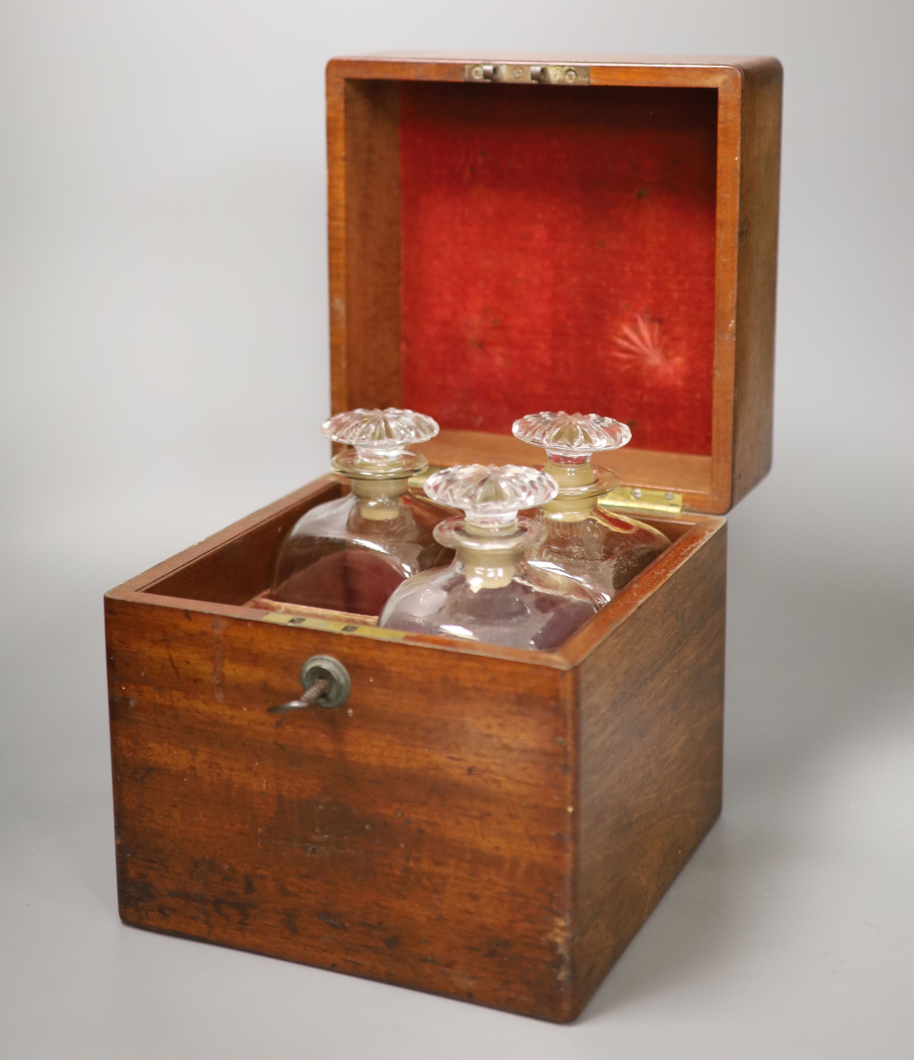 A mahogany cased decanter box and three decanters, height 23cm